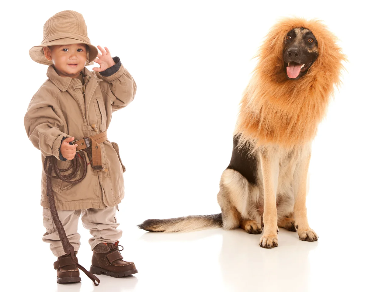 Little boy in jungle explorer safari costume