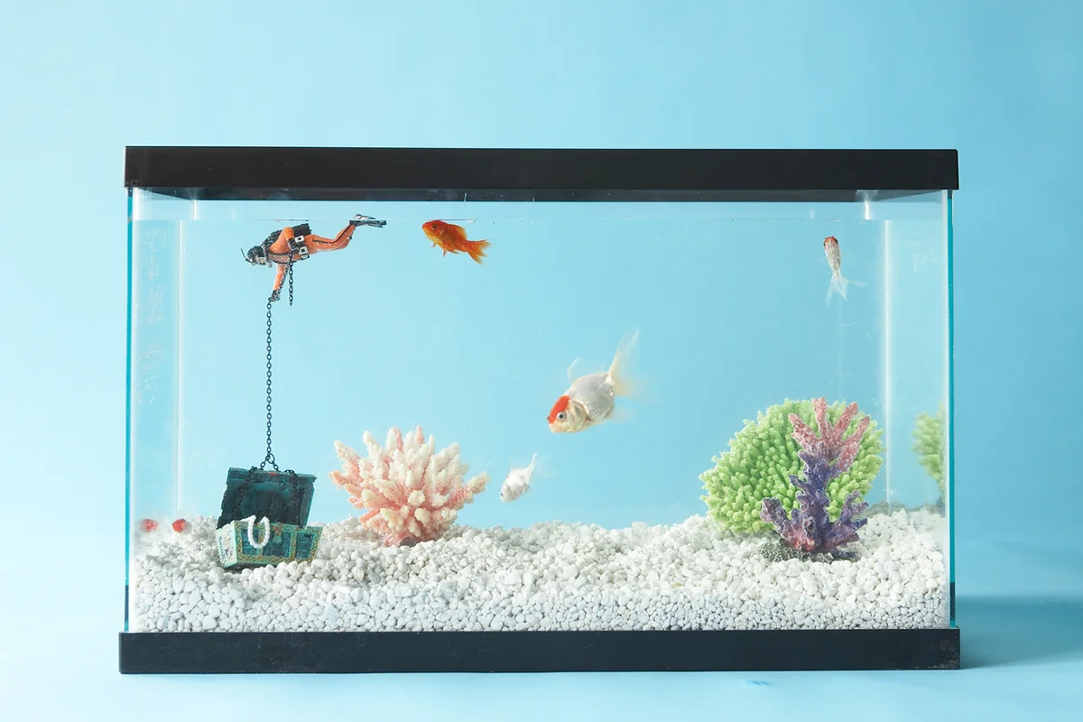 fishtank in blue room