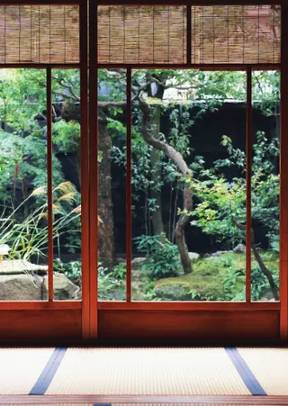 windows with bamboo shades