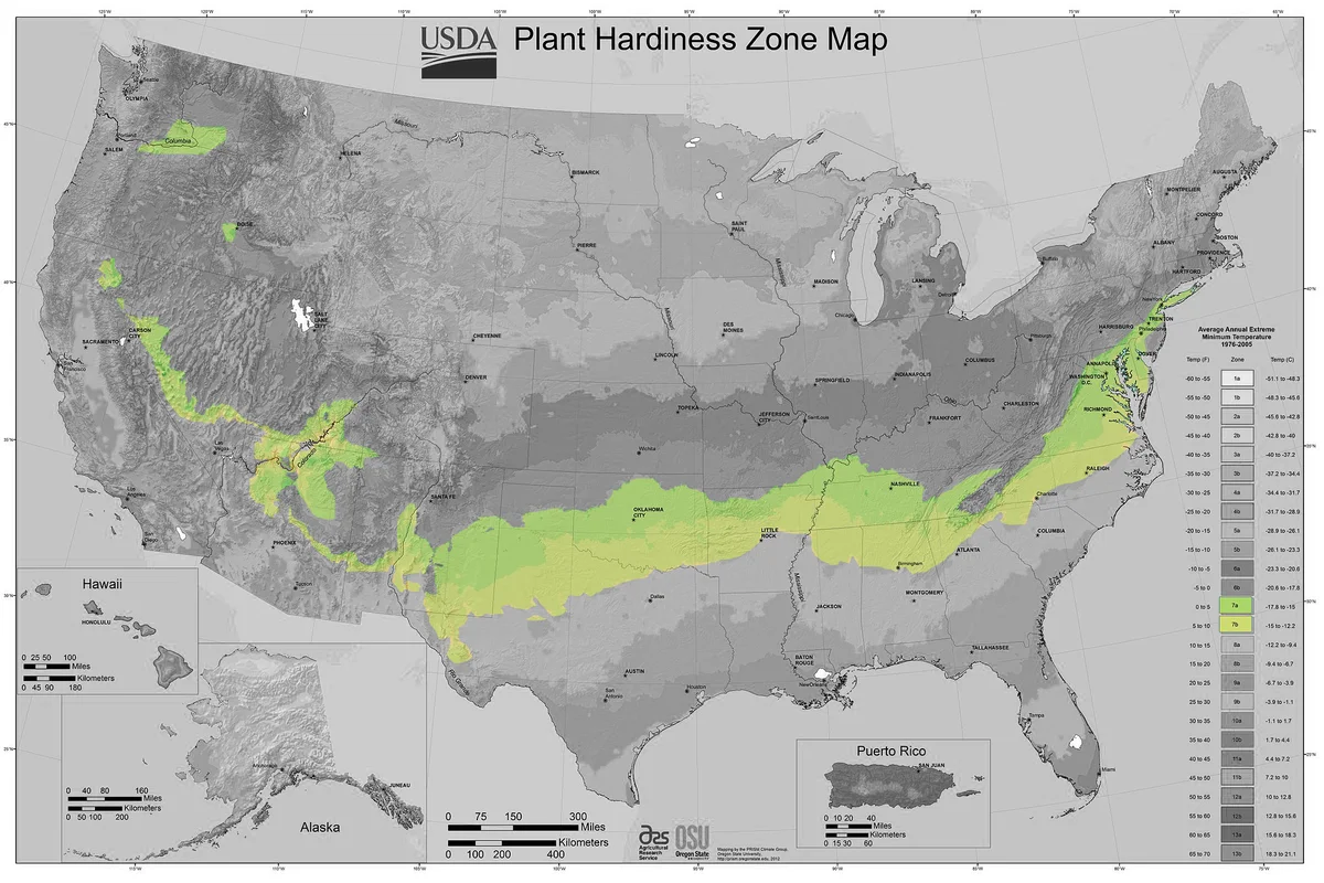 USDA Plant Hardiness Zone Map - By USDA-ARS and Oregon State University (OSU) [Public domain], via Wikimedia Commons