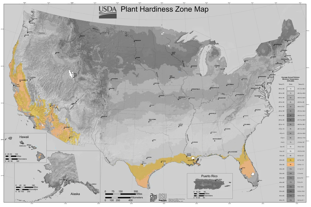 USDA Plant Hardiness Zone Map - By USDA-ARS and Oregon State University (OSU) [Public domain], via Wikimedia Commons