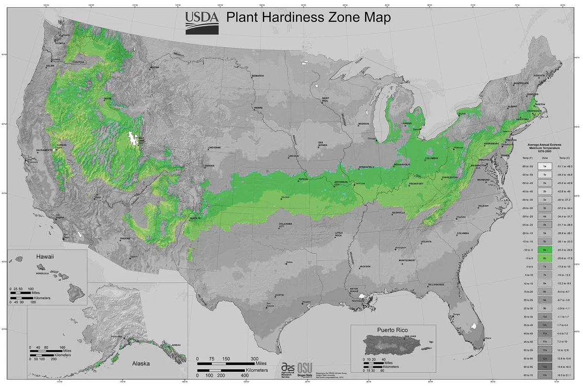 USDA Plant Hardiness Zone Map - By USDA-ARS and Oregon State University (OSU)