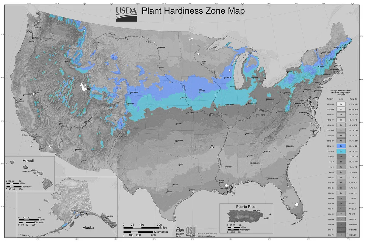 USDA Plant Hardiness Zone Map - By USDA-ARS and Oregon State University (OSU) [Public domain], via Wikimedia Commons