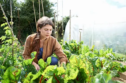 Woman caring for vegetables