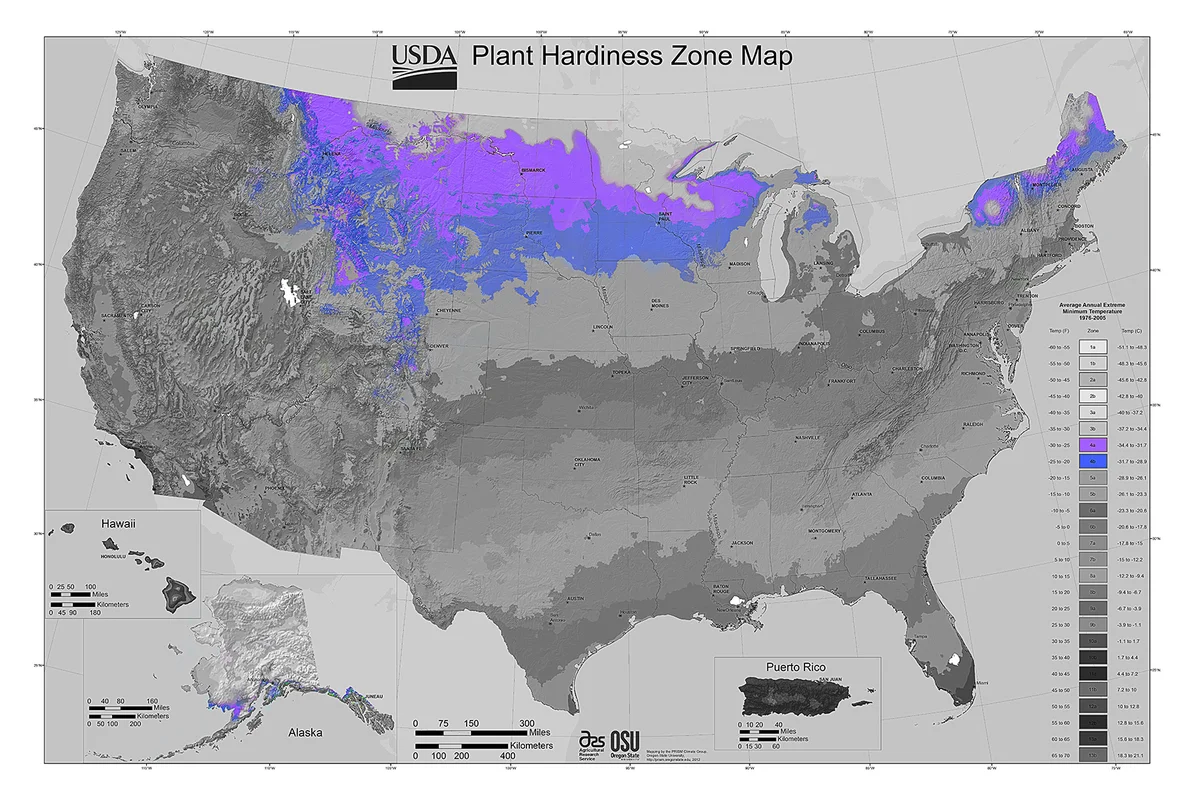 By USDA-ARS and Oregon State University (OSU) [Public domain], via Wikimedia Commons