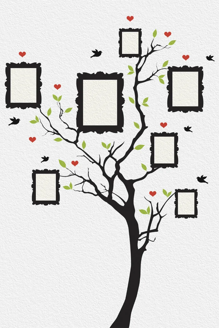Tree photo gallery
