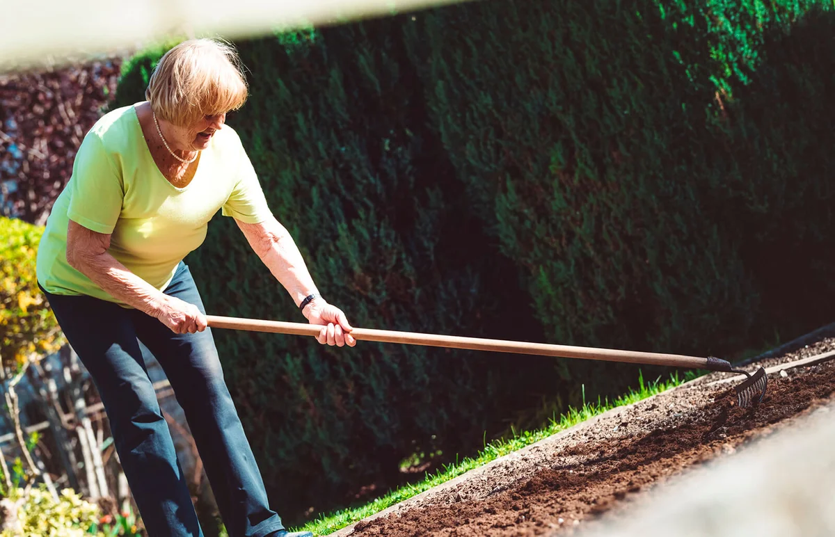 Preparing the garden for planting