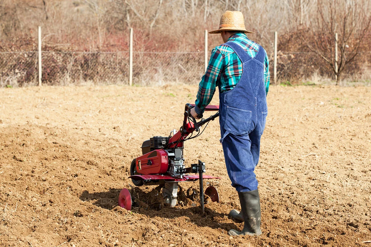 Man cultivates the land with the cultivator