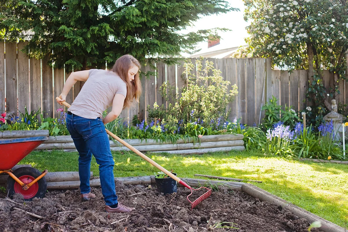 Preparing the Soil in a Backyard Garden