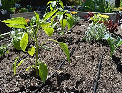 DripWorks Garden Bed Irrigation Kit - Small / https://amzn.to/2N3Dynp