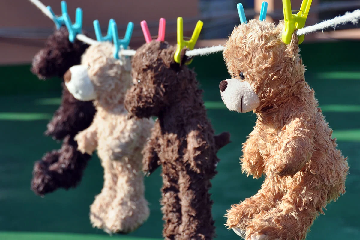 Teddy Bear Laundry