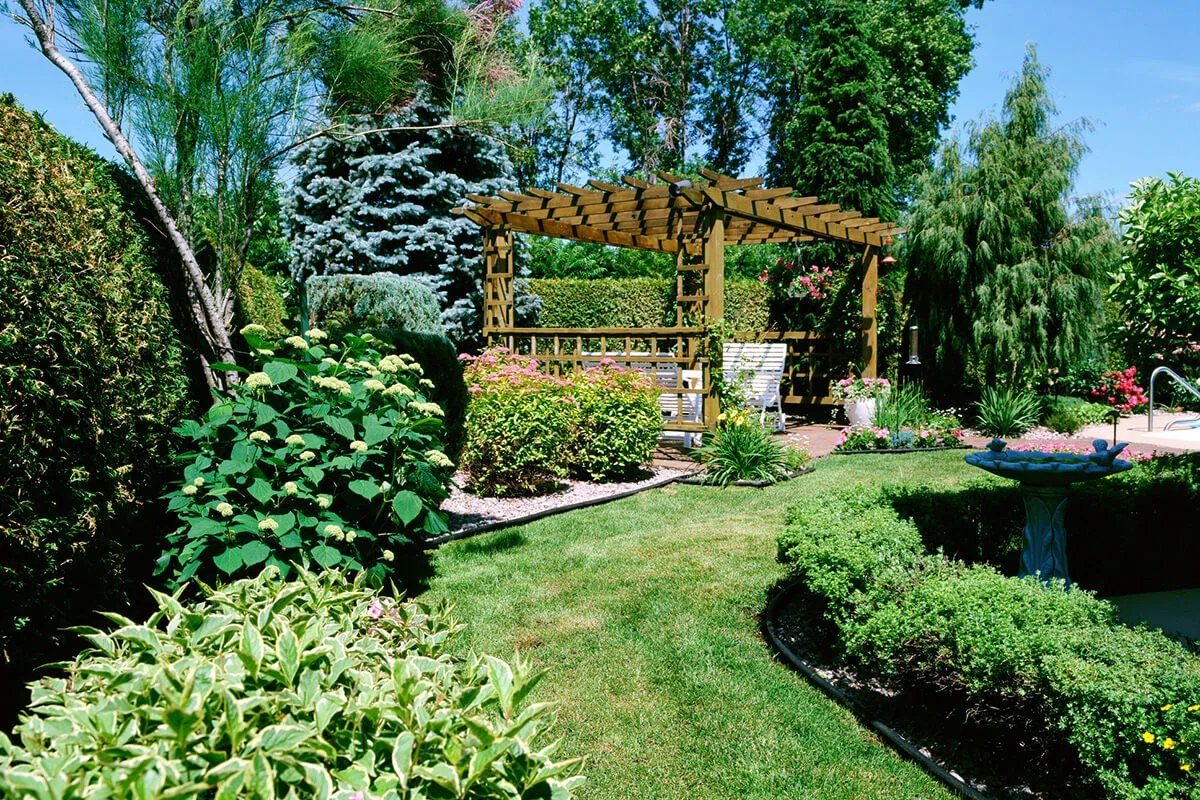 Plants in garden