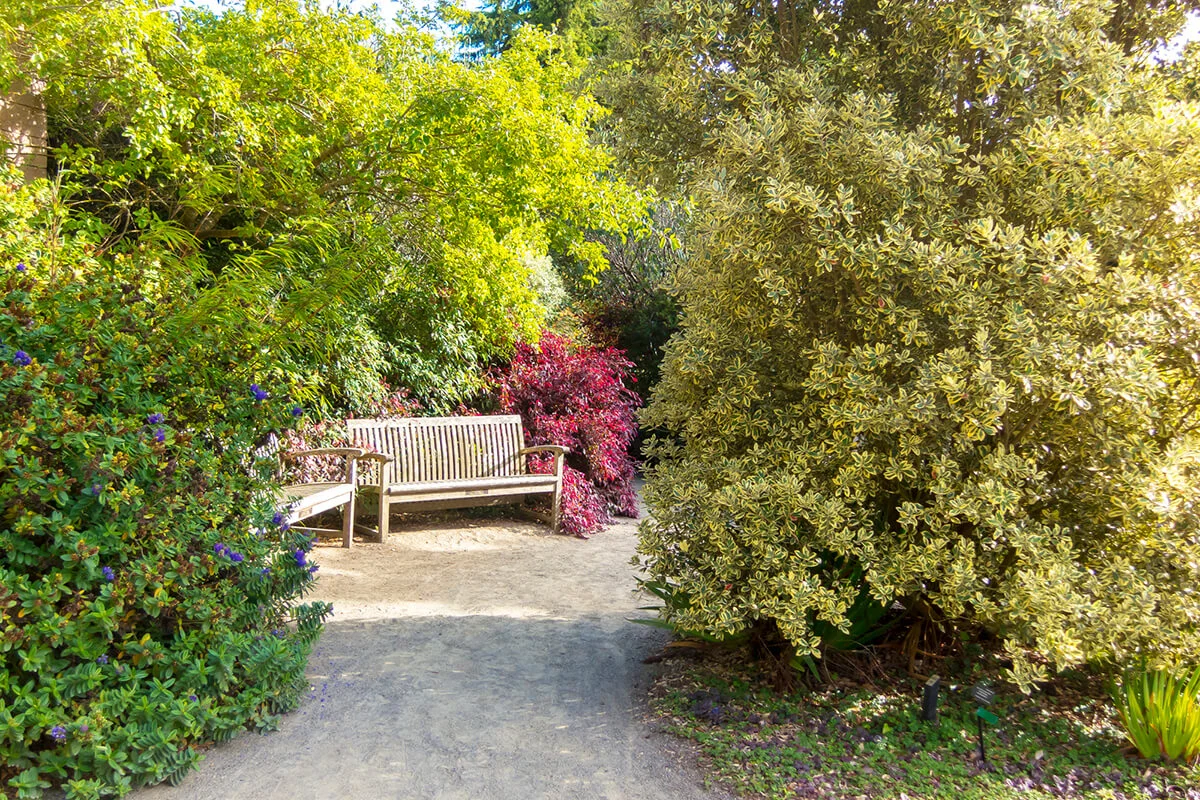 Park bench located in a botanical garden
