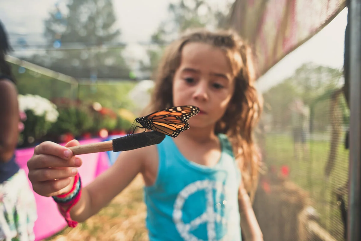 A girl holding a butterfly