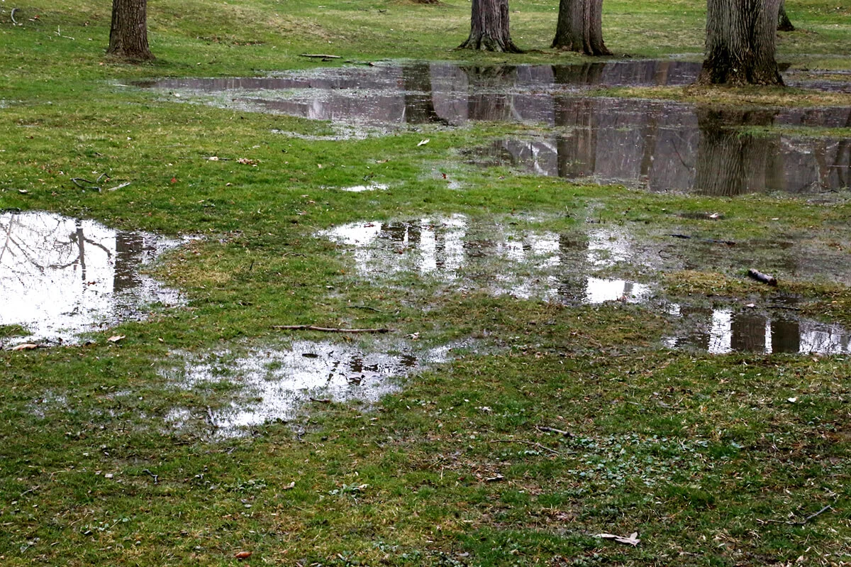 Waterlogged grass area