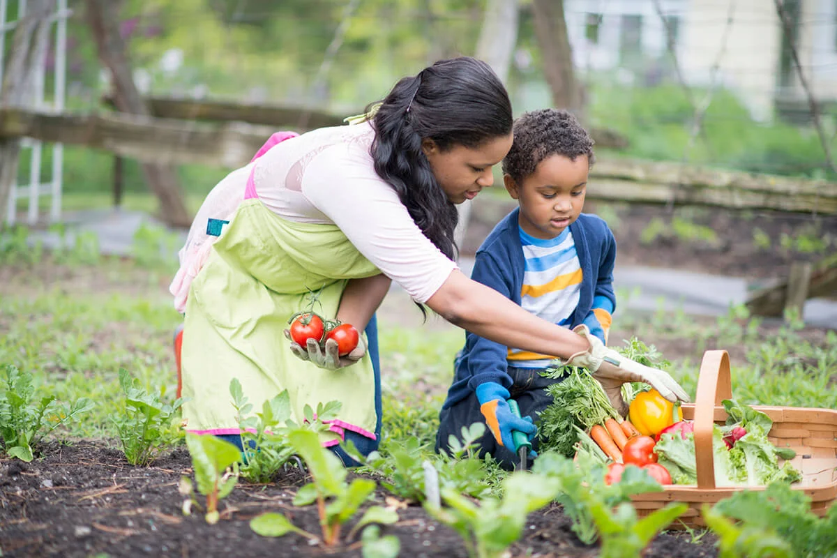 mother and son picking vegetables