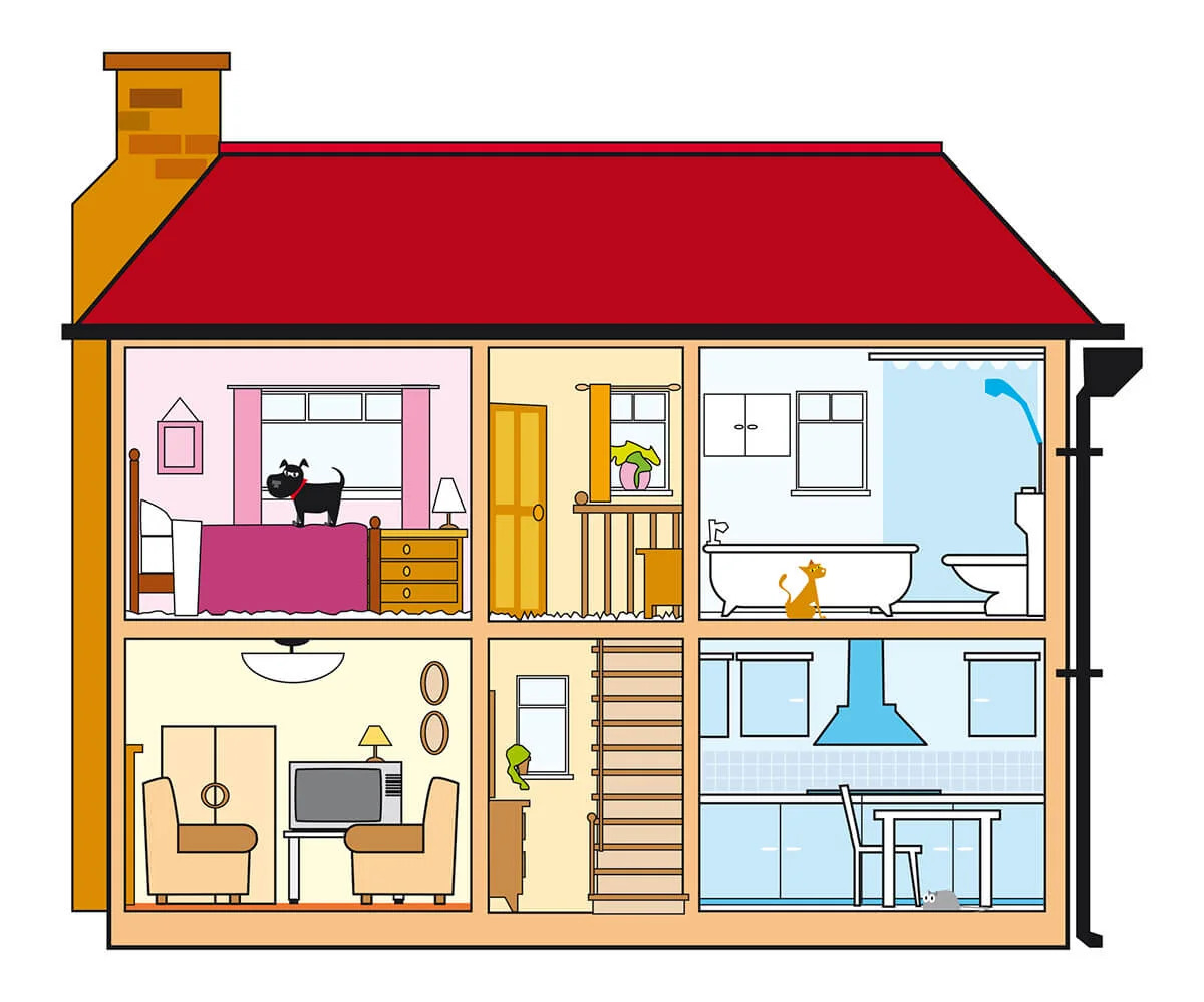 Cross section digital illustration of home interior with dog standing on bed and cat sitting in bathroom