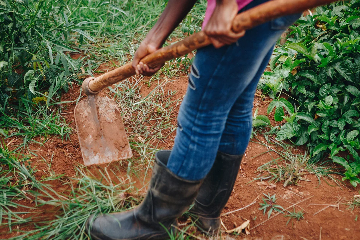 Man working the soil