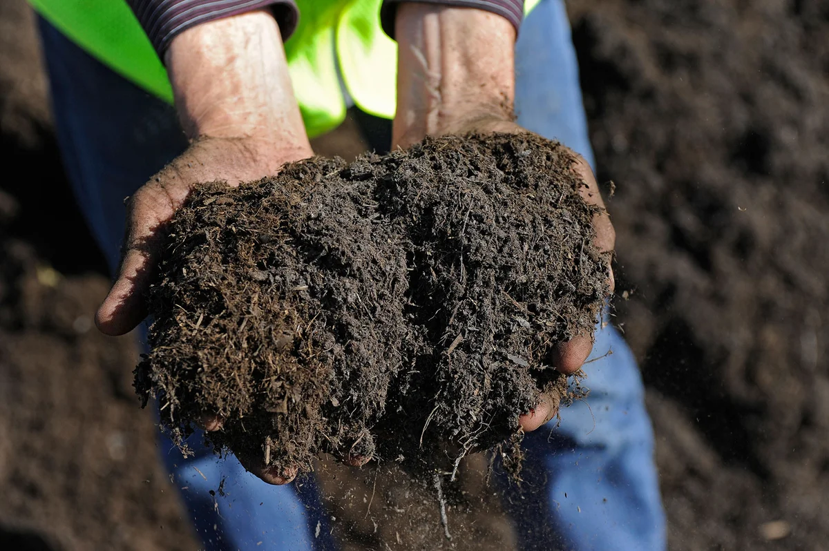 Adding compost to garden