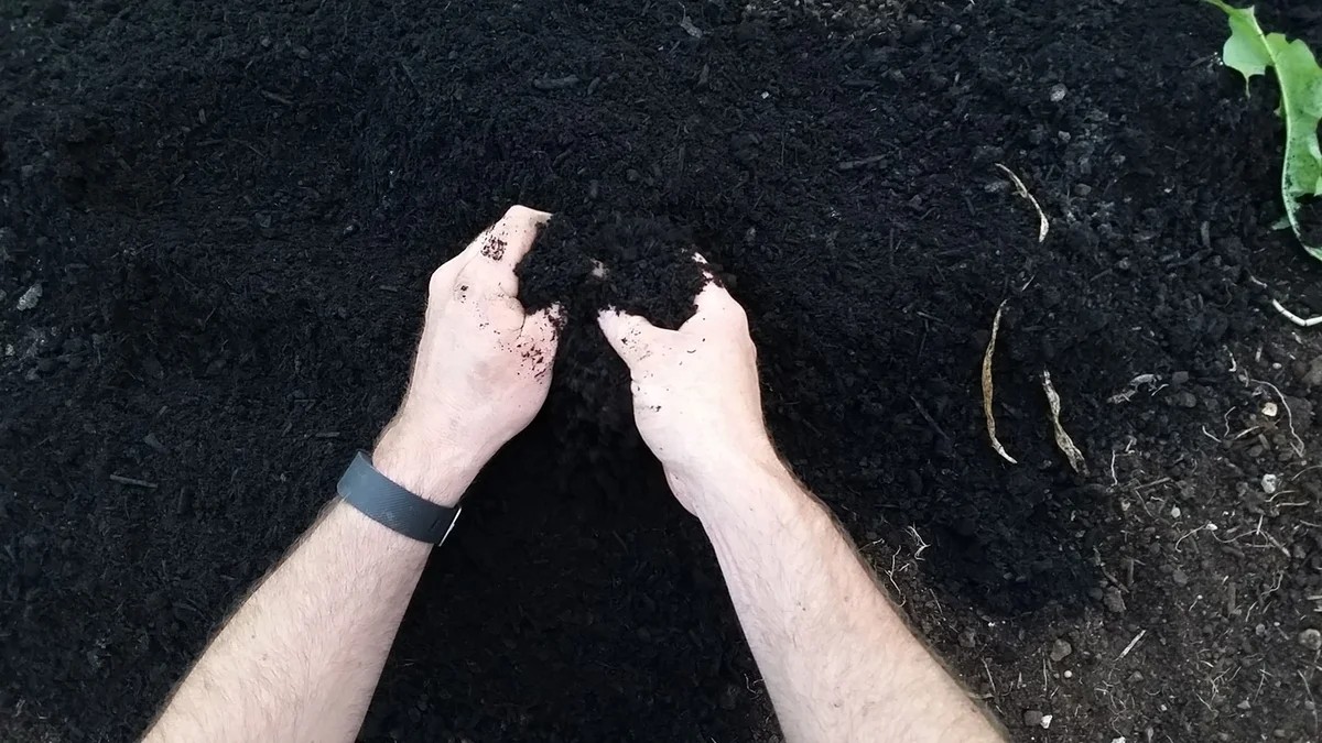 Person working the soil with hands