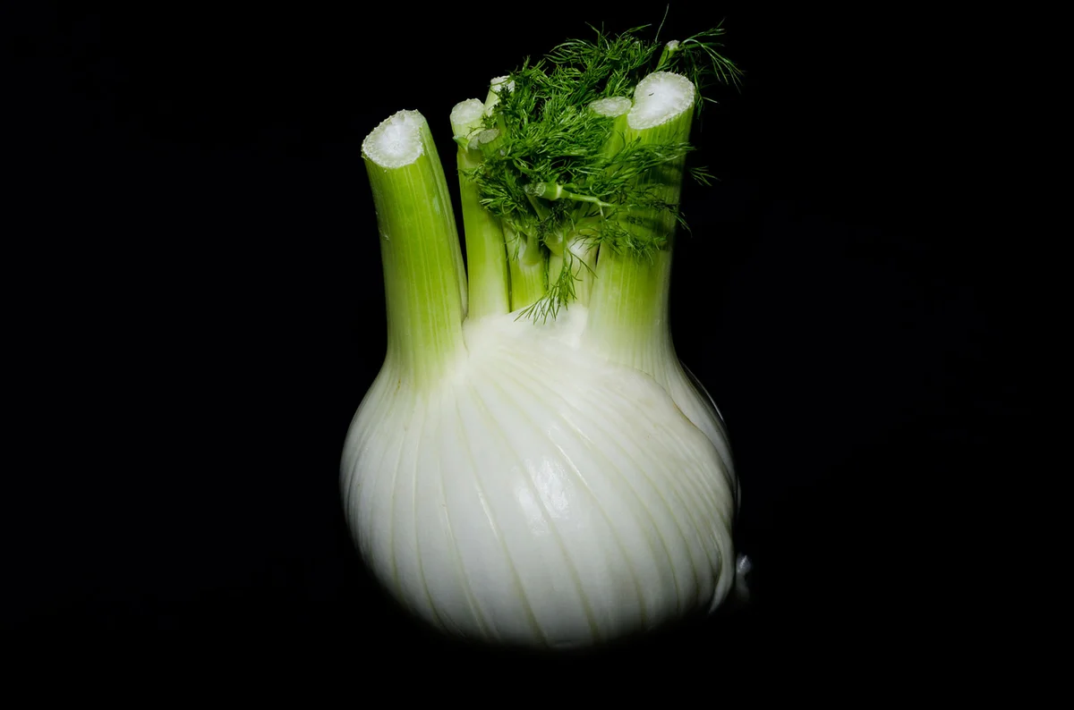 Fennel bulb