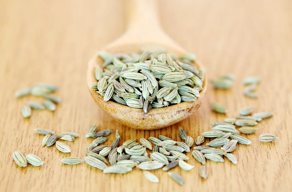 Spoon of fennel seeds