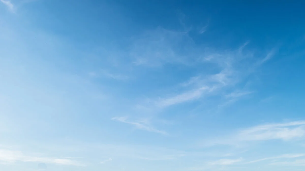 View Of Blue Sky