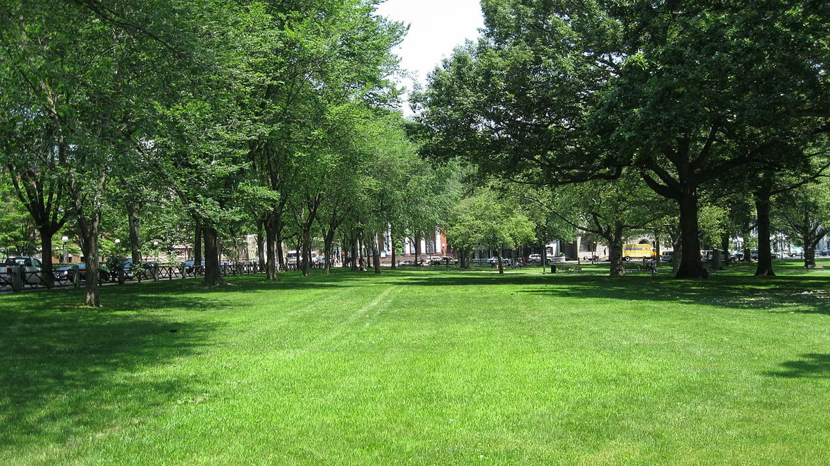 New Haven Green, New Haven by Anybob [CC0], from Wikimedia Commons (https://commons.wikimedia.org/wiki/File:OccupyNHGreenRecovery.JPG ) / CC0 1.0 Universal (CC0 1.0)
Public Domain Dedication