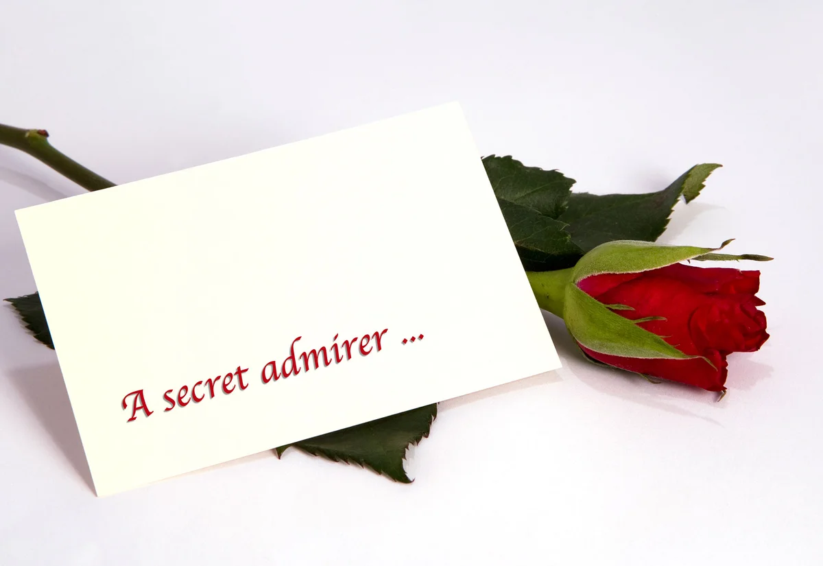 Rose with secret admirer note