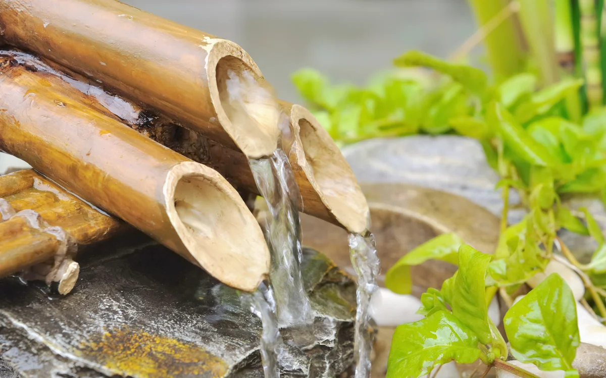 Water from a bamboo fountain
