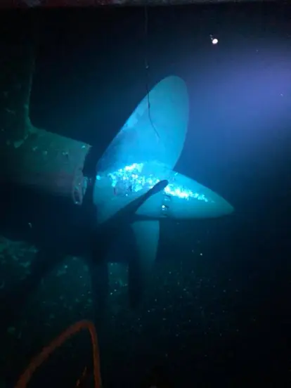 Queen Mary propeller