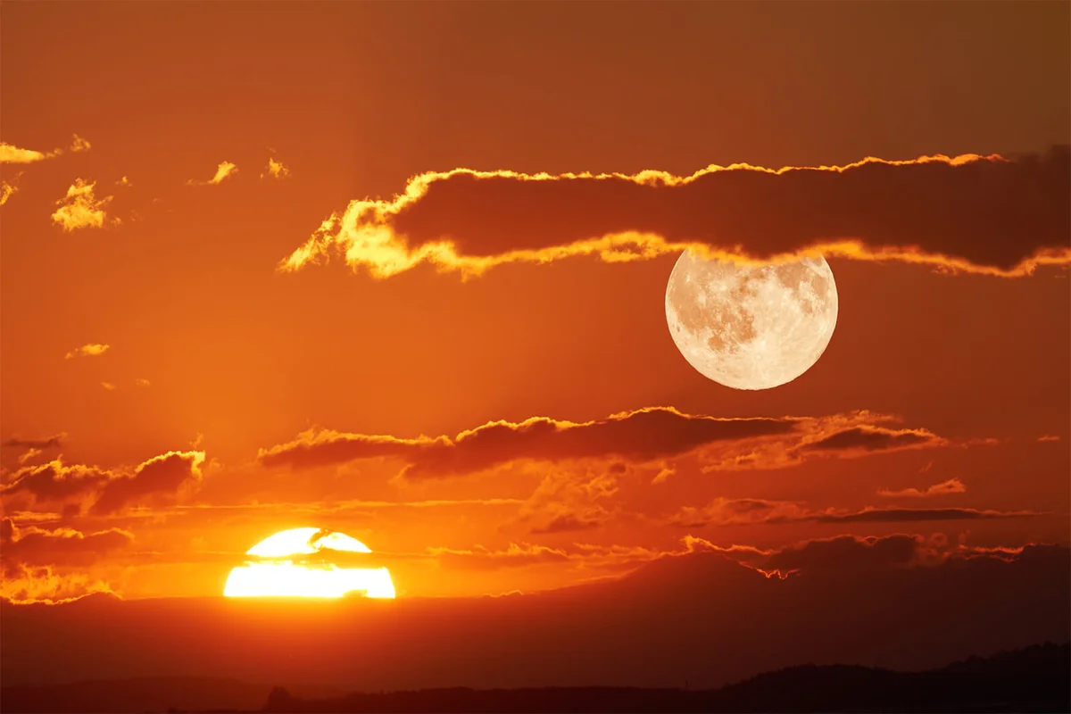 The Progressed Sun, Moon, and Solar/Lunar Phases