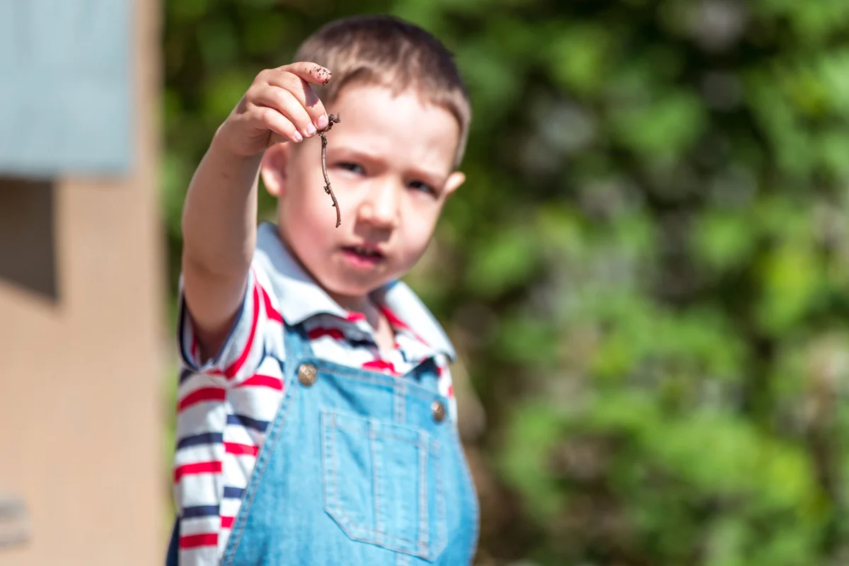 Boy in overalls holding up earthworm