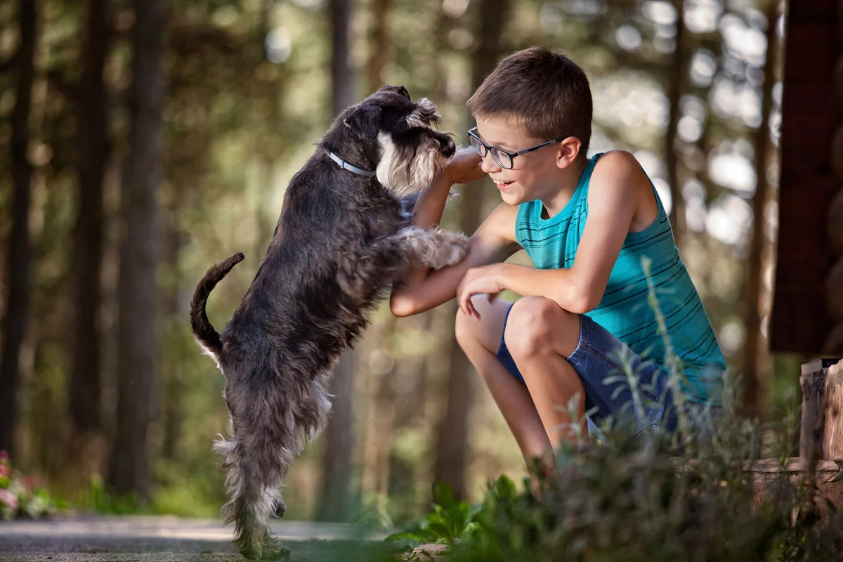 Boy with a dog outside