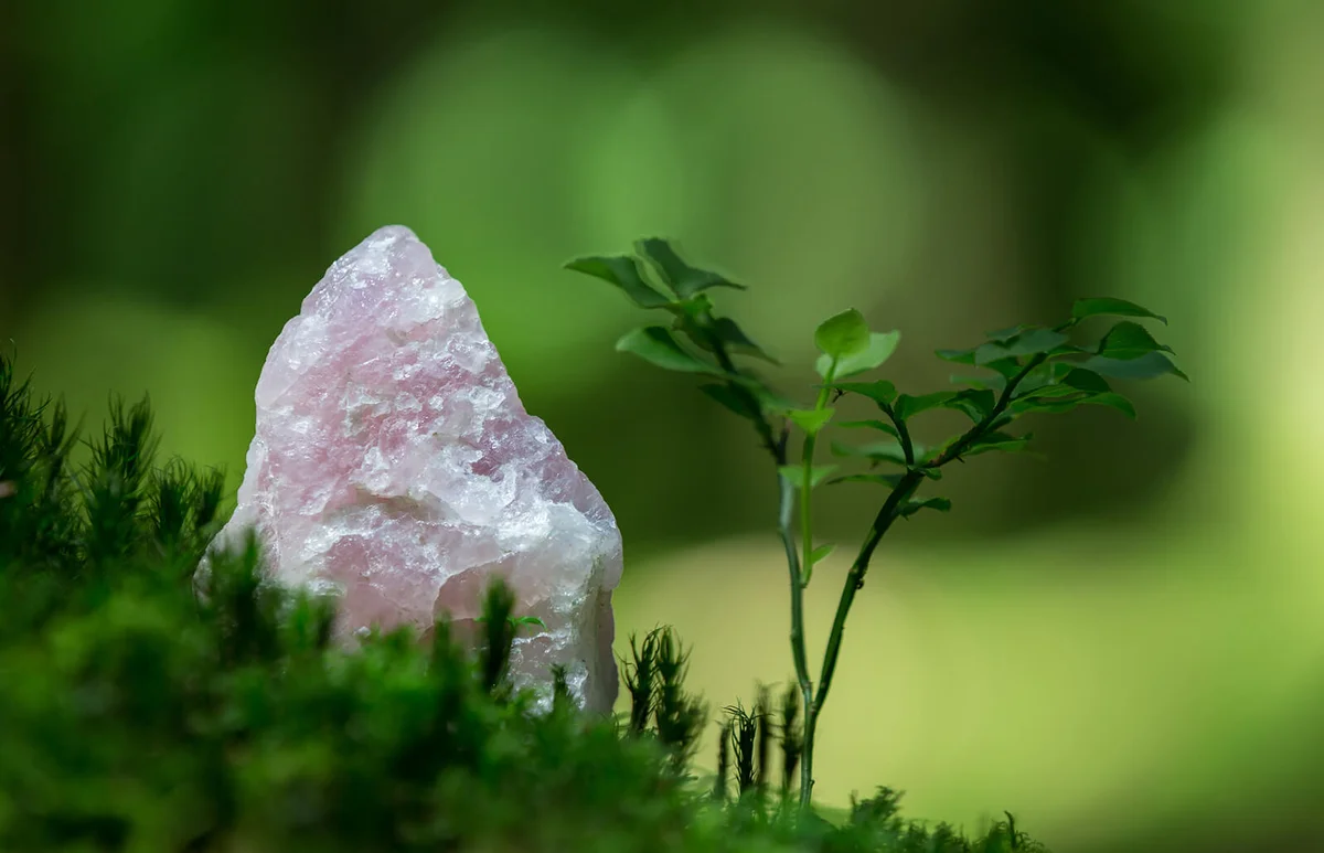 Rose quartz in a forest in Switzerland