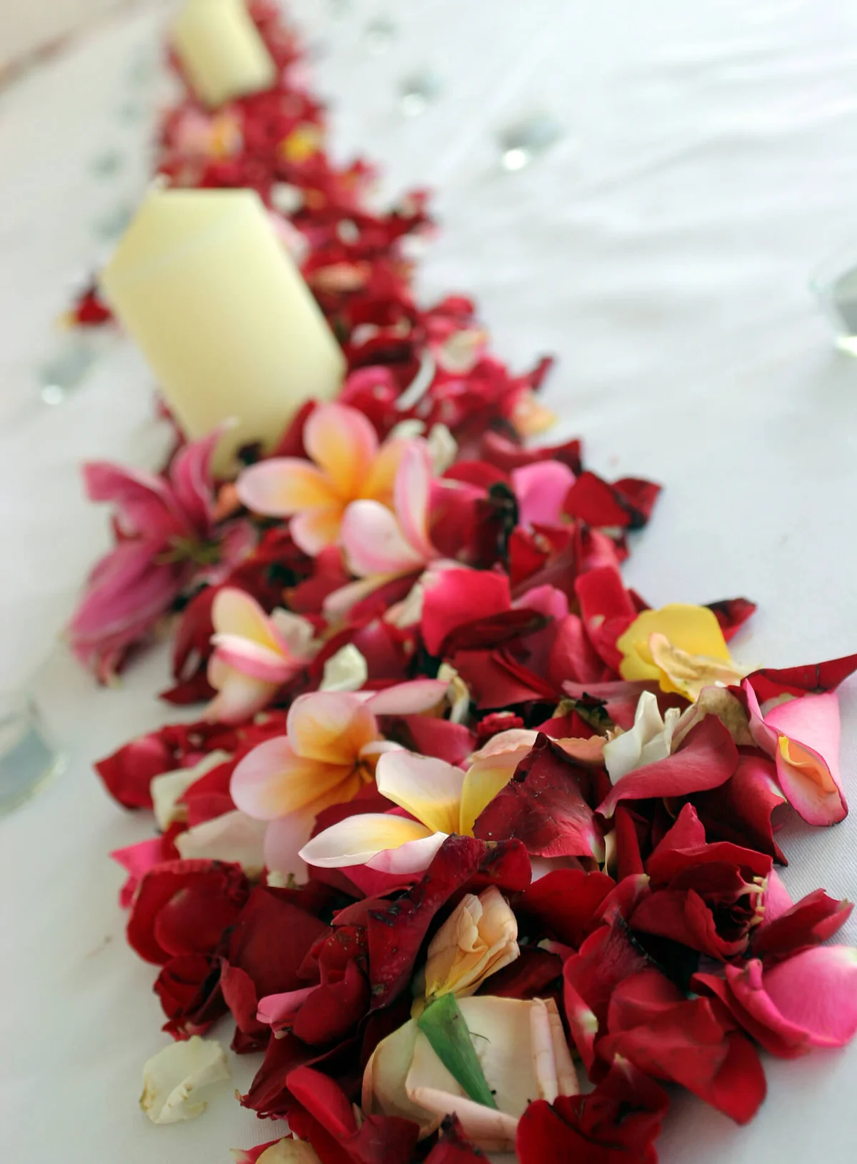 Line of flower petals decorating a table