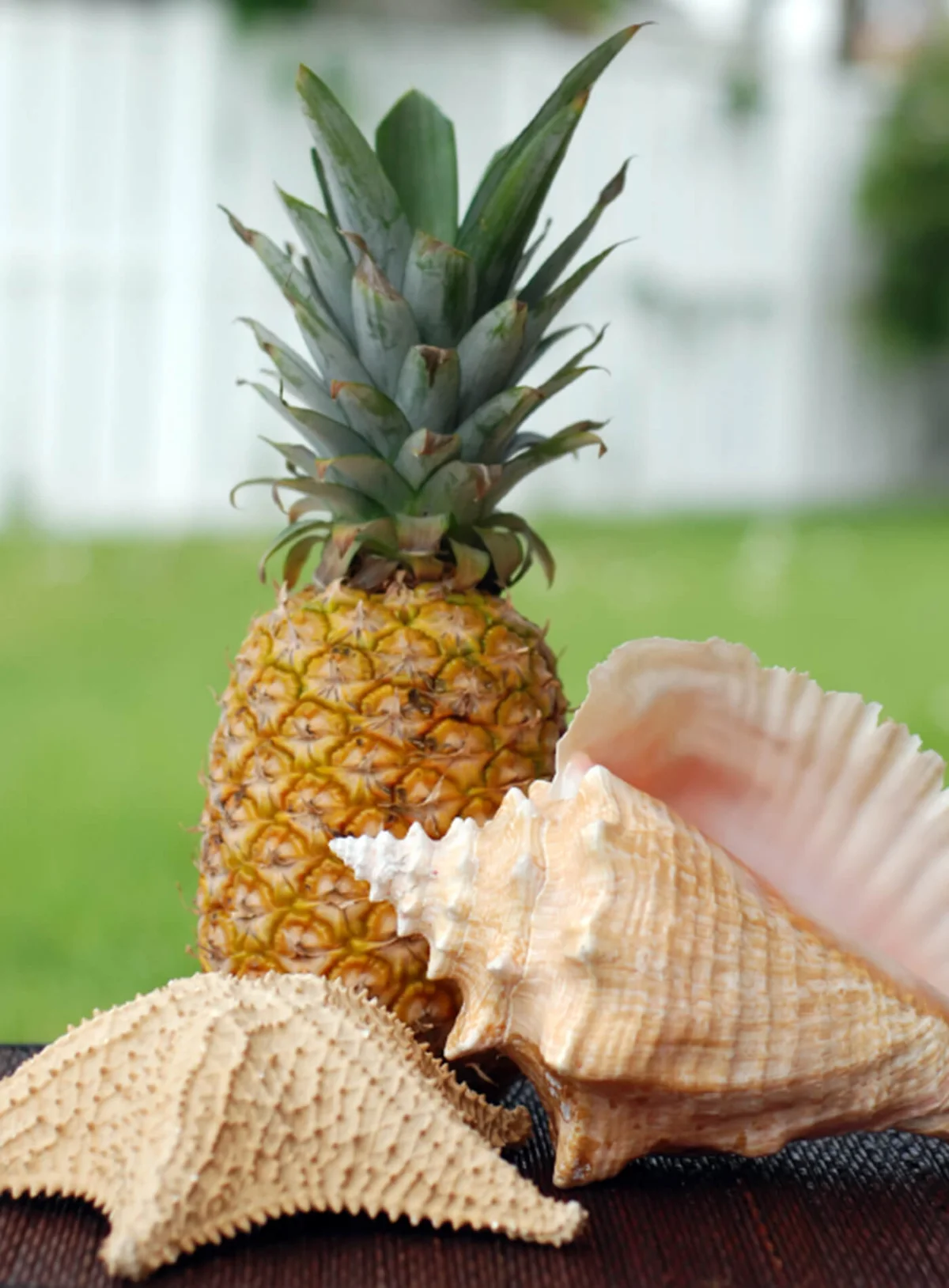Tropical Items