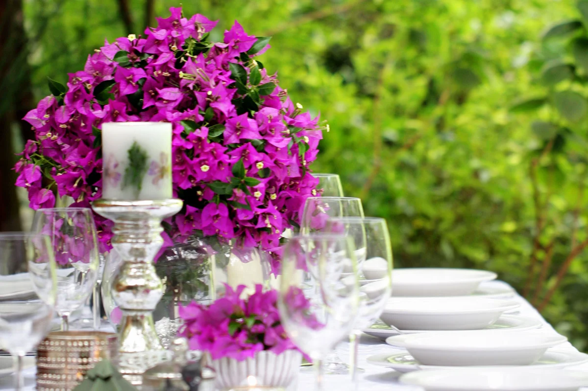 bougainvillea centerpiece
