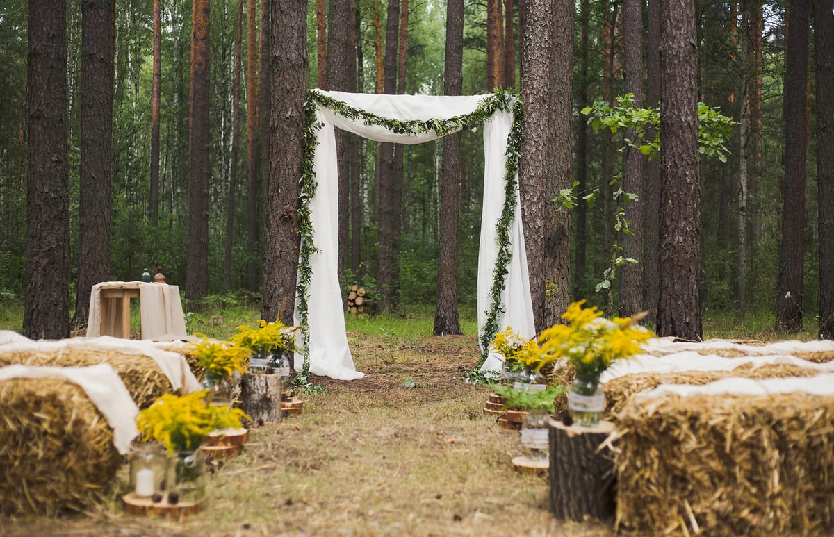 place in old autumn wood for wedding ceremony