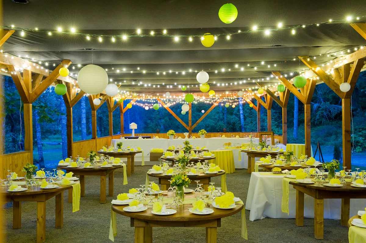 Twinkly lights at wedding reception