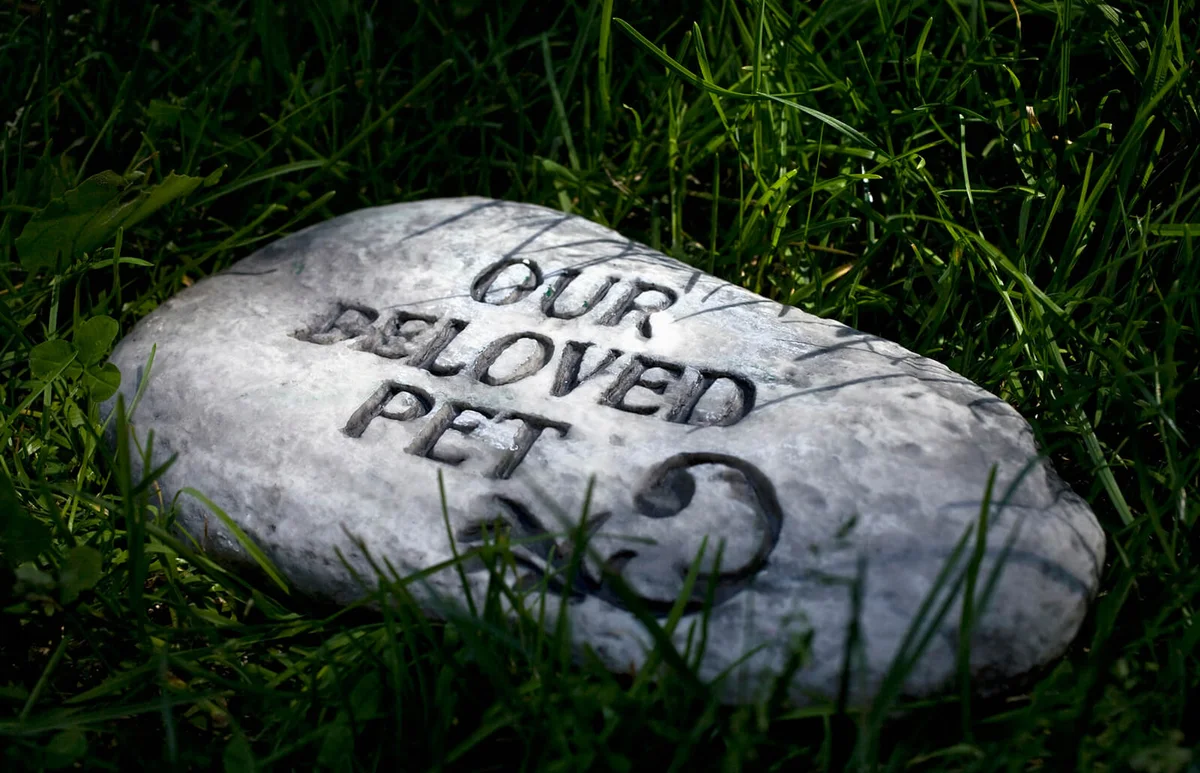 A gravestone in a pet cemetery