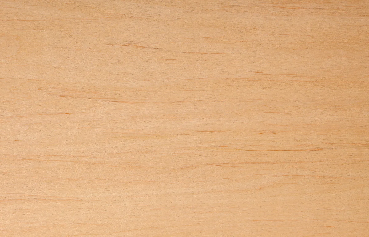 Alder wood texture
