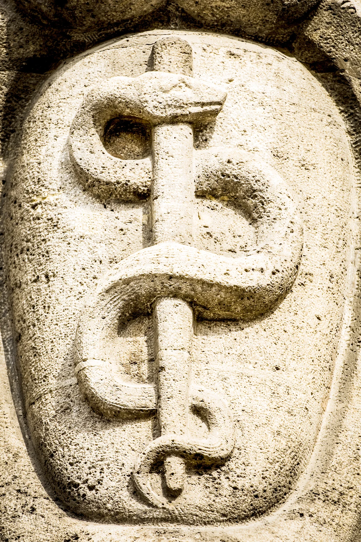Aesculapian staff - Caduceus