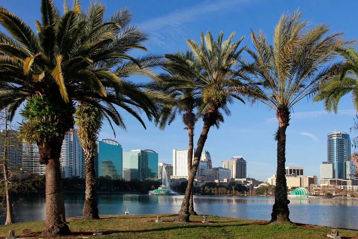 Palm trees in Orlando, Florida