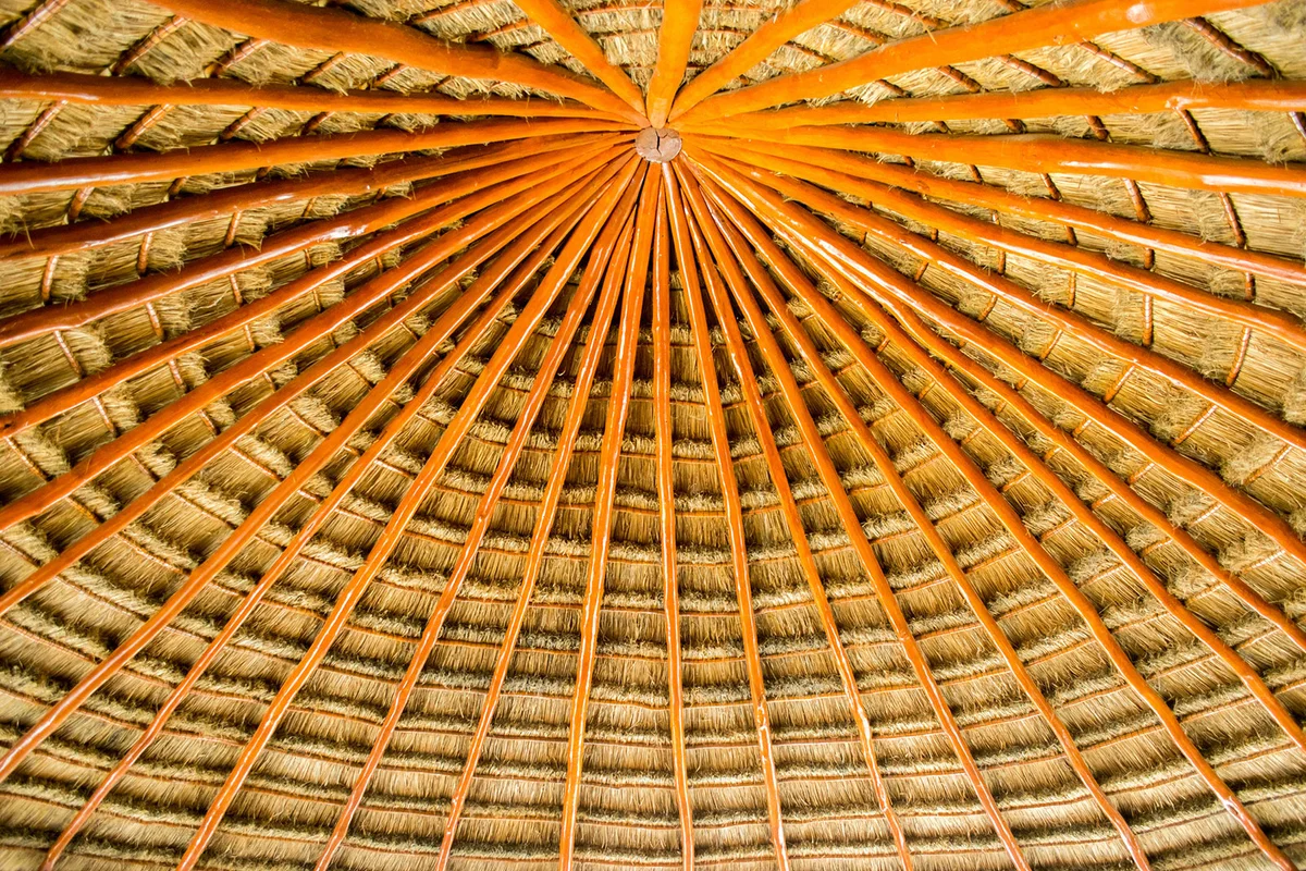 Palapa roof made from palm leaves