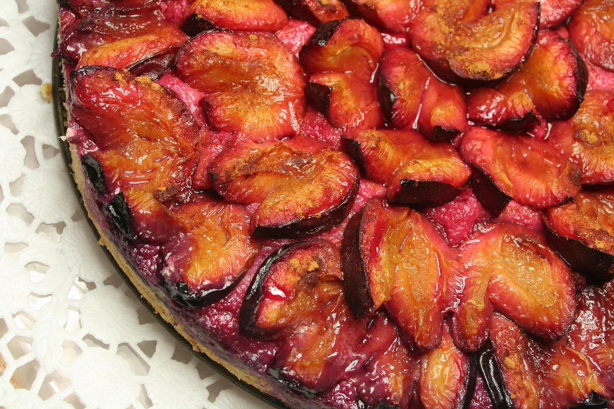 Baked plum tart on a plate