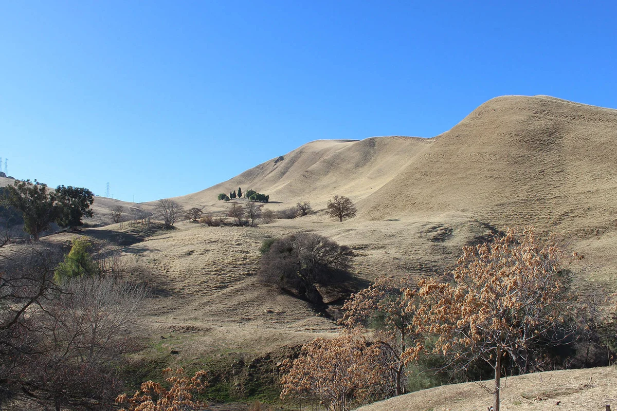 Black Diamond Mines Regional Preserve
