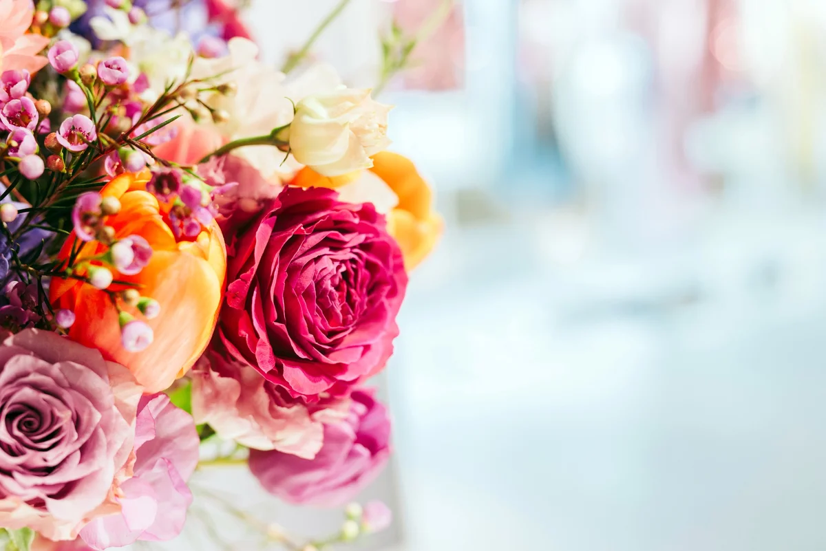 bouquet of flowers