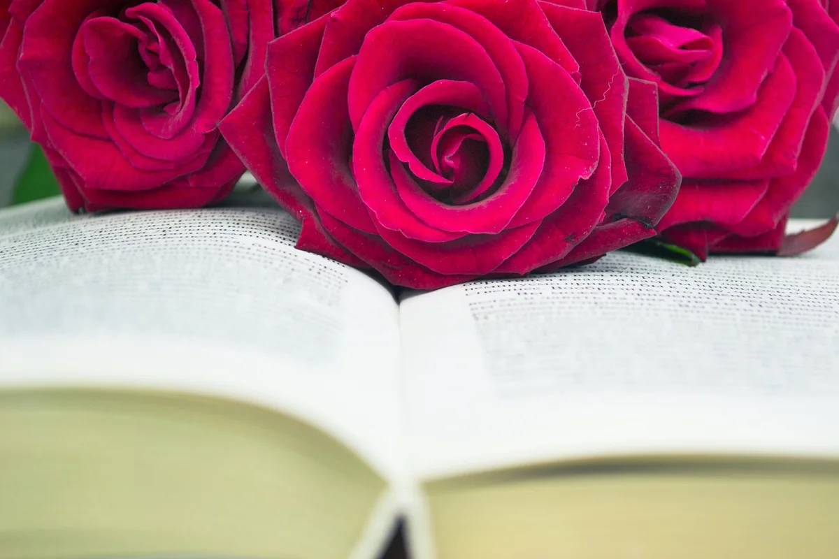 The open book and red roses