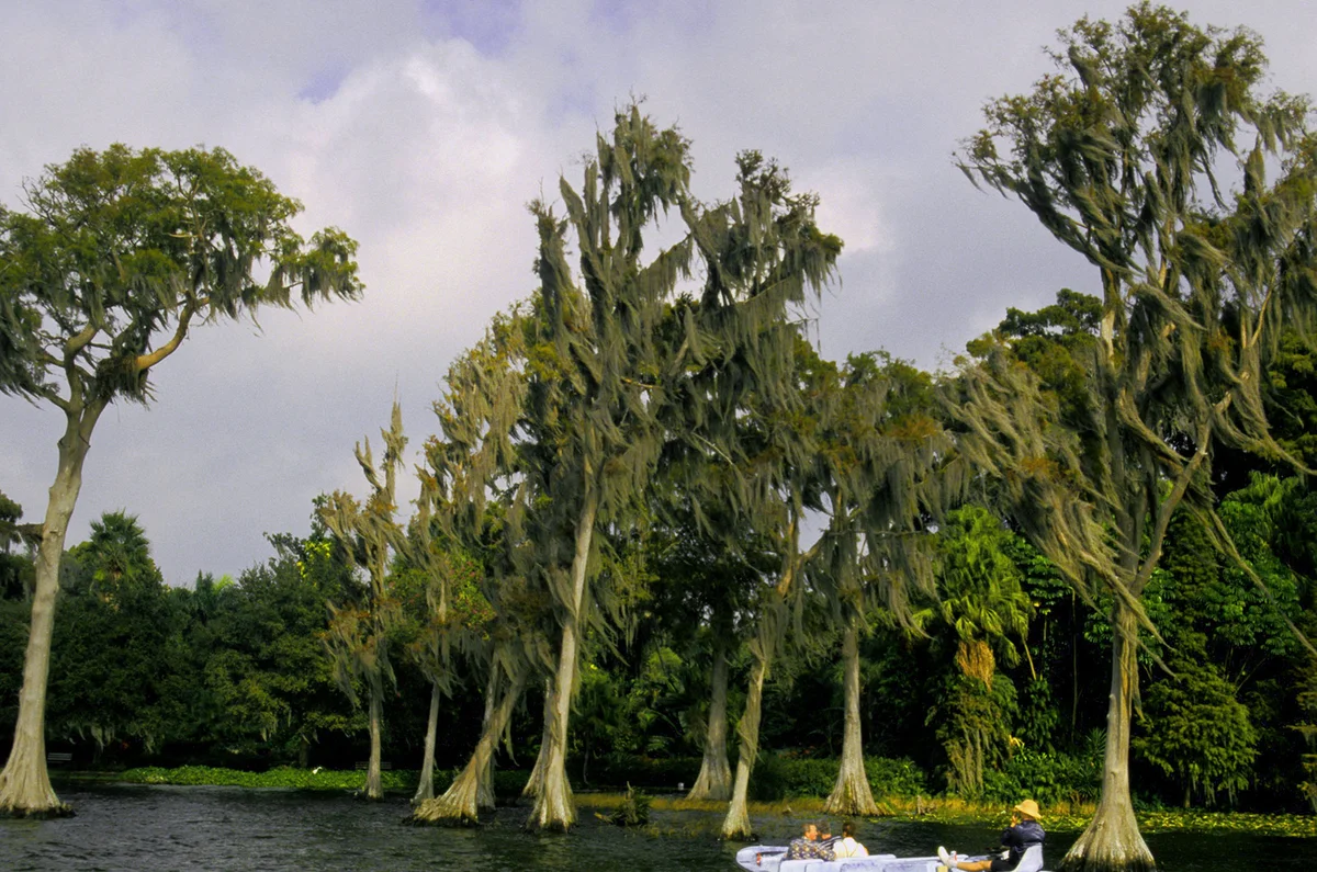 People On Scenic Boat Ride On Lake Eloise in Cypress Gardens